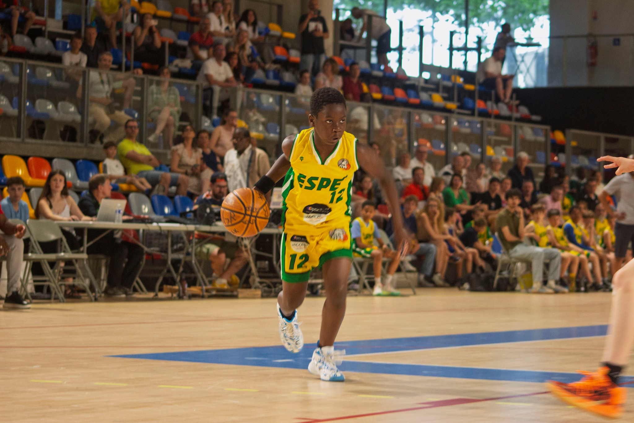 Coupe de la Marne
